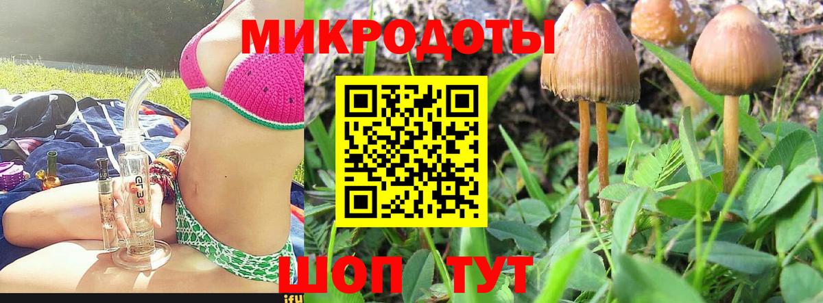 Галлюциногенные грибы Psilocybe  Псилоцибиновые грибы Psilocybe  Истра  Вход с VPN 