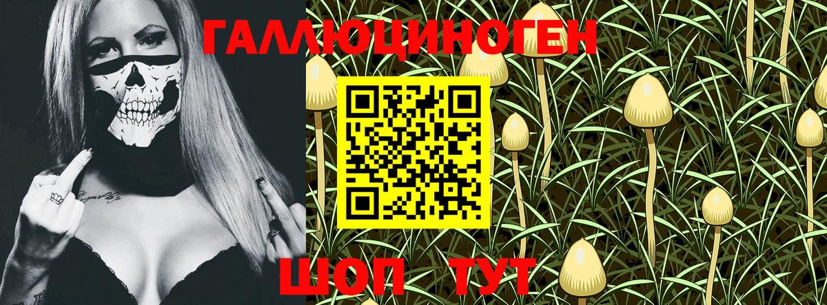 Псилоцибиновые грибы MAGIC MUSHROOMS Истра